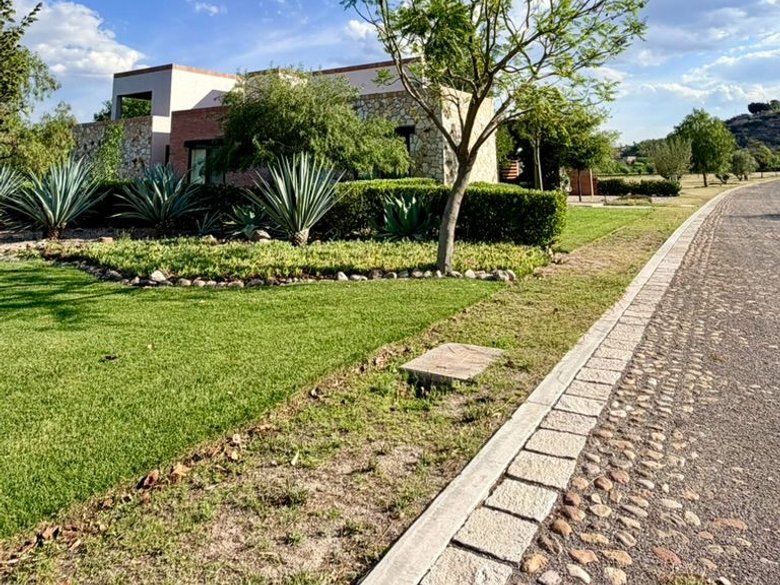 Estate Lot in Los Remedios Vineyard — 8 photos