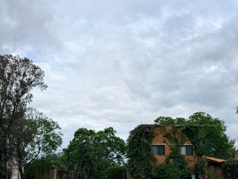Estate Lot in Los Remedios Vineyard — 7 photos