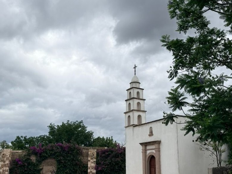 Estate Lot in Los Remedios Vineyard — 6 photos