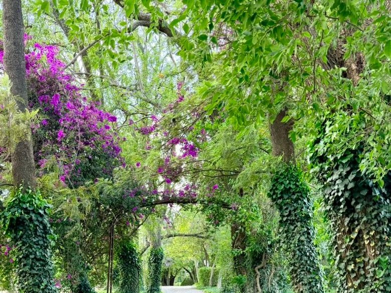 Estate Lot in Los Remedios Vineyard — 1 photos