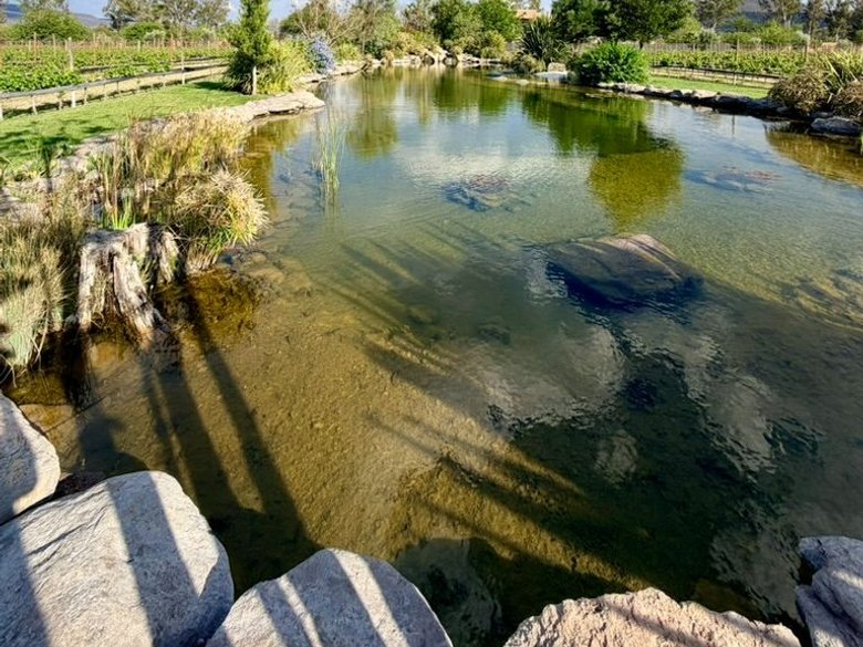 Estate Lot in Los Remedios Vineyard — 4 photos