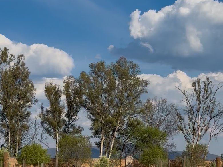 Estate Lot in Los Remedios Vineyard — 11 photos
