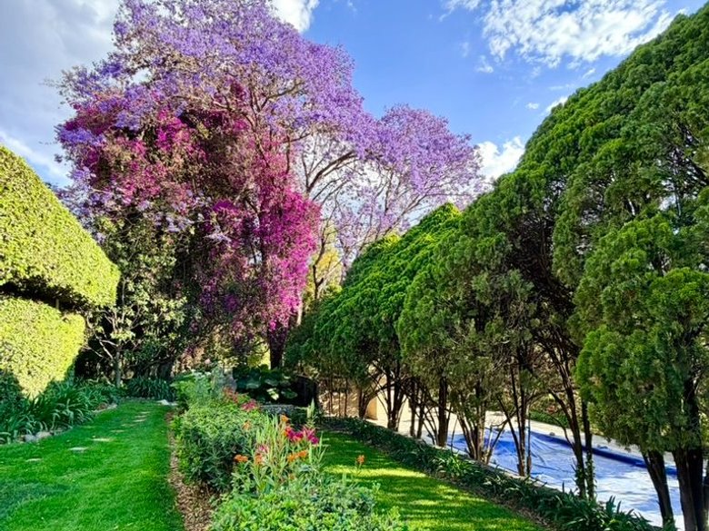 Estate Lot in Los Remedios Vineyard — 5 photos