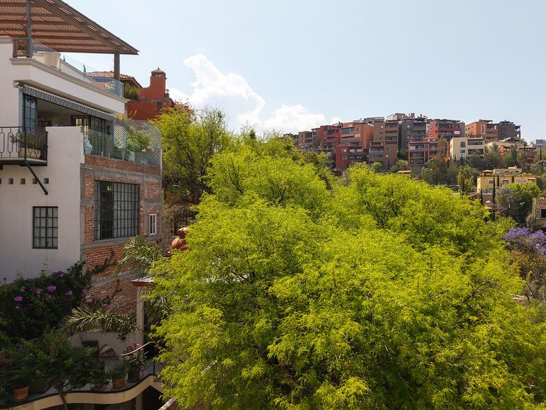 Proyecto Cjon. De Chepito — 5 photos