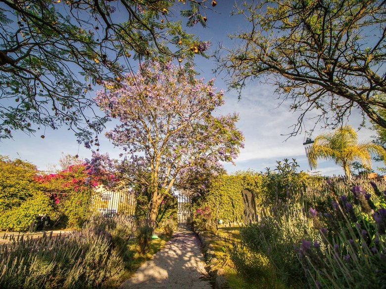 AltaVista Lot 19 – 1,053 m² | Luxury Homesite with Protected Views Near Centro — 8 photos