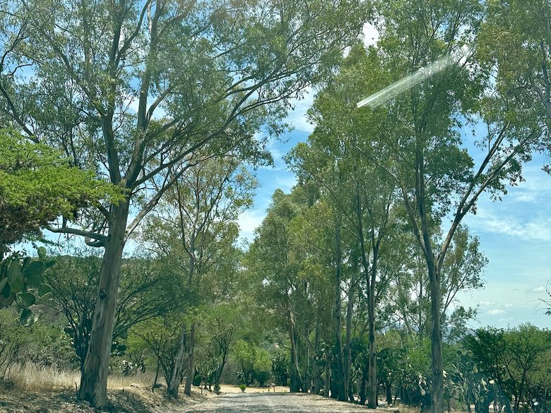 Santa Matilde Valley View — 3 photos