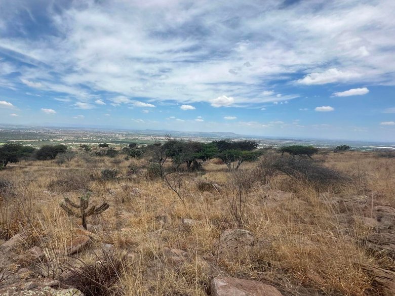 Santa Matilde Valley View — 4 photos