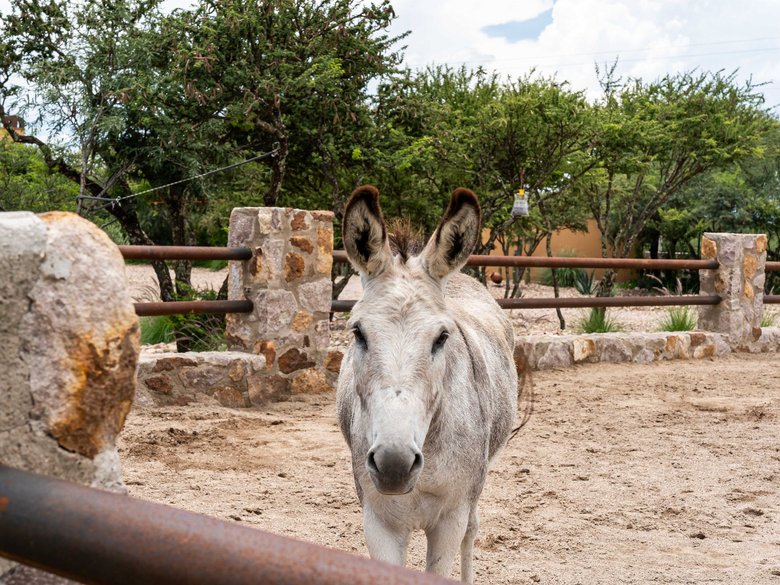 Rancho Ocotillo — 28 photos