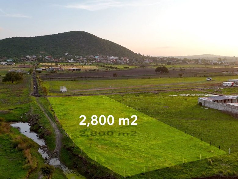 Lote Sosnabar — 9 photos