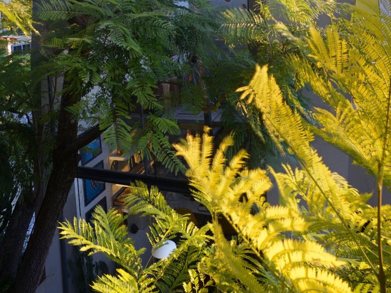 Casa Estudio en el Árbol — 11 photos