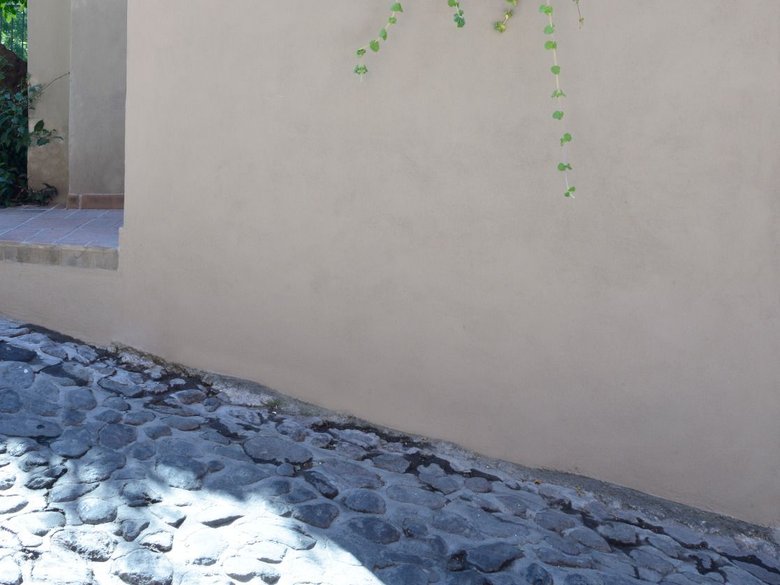 Casa Estudio en el Árbol — 2 photos