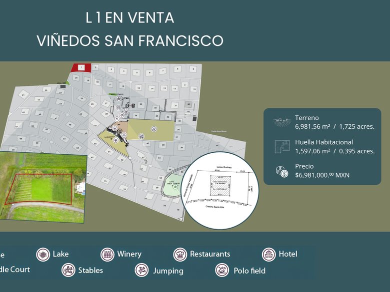 L 1 VIÑEDOS SAN FRANCISCO — 1 photos