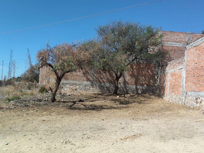 Lote 9 Poblado de Tirado — 2 photos