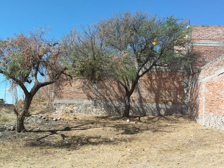 Lote 9 Poblado de Tirado — 3 photos