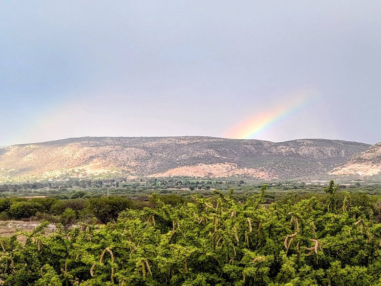 La Caridad Country Lots — 2 photos