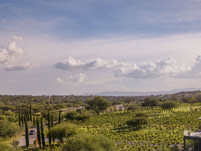 L 4  VIÑEDOS DE LOS SENDEROS — 2 photos