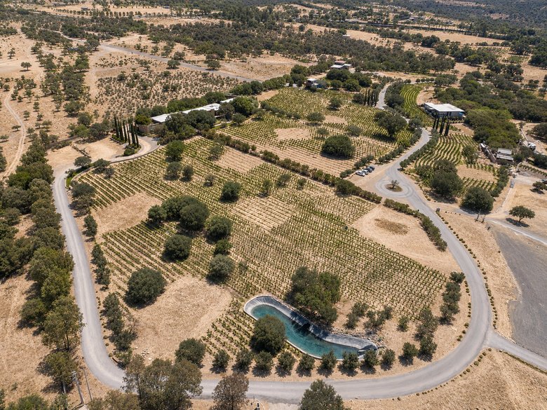 L 4  VIÑEDOS DE LOS SENDEROS — 3 photos