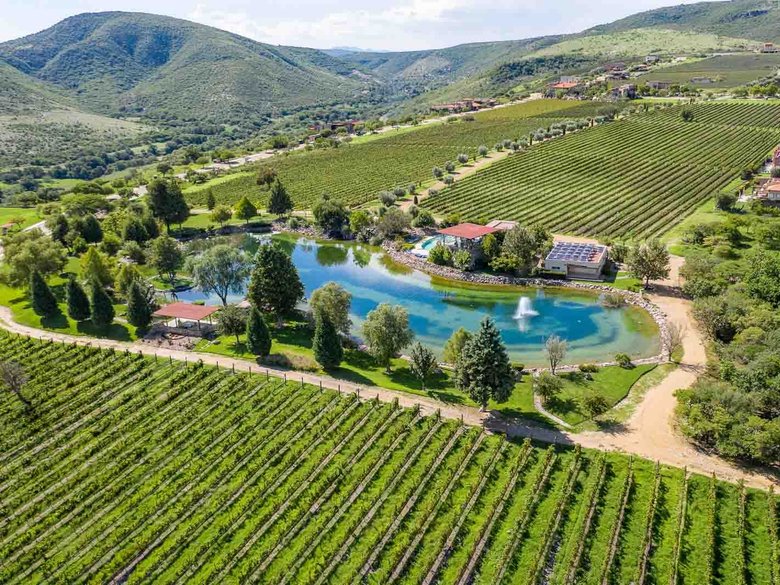 Cabernet 12 Lot — 13 photos