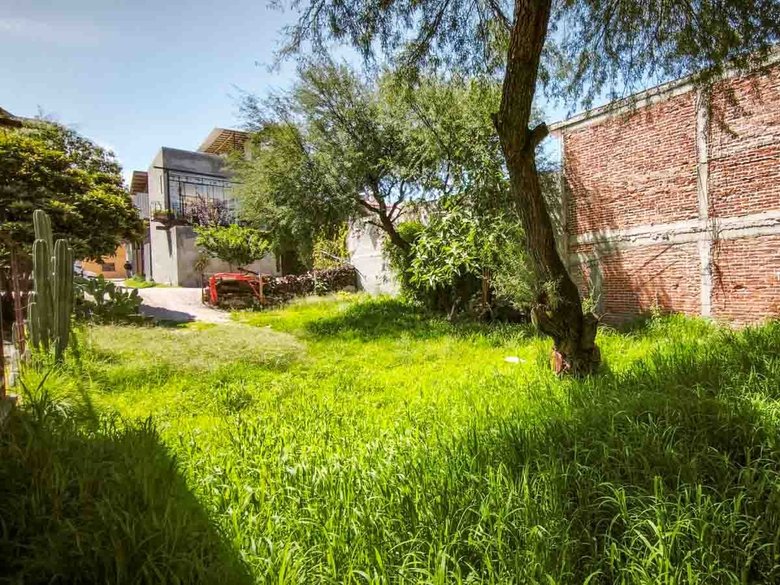 Zamora Rios Lot — 14 photos