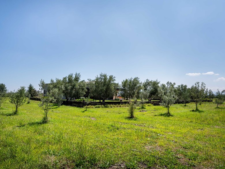 Casa Jinete — 5 photos