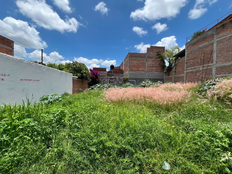 Terreno en "Ignacio Cruces" — 1 photos