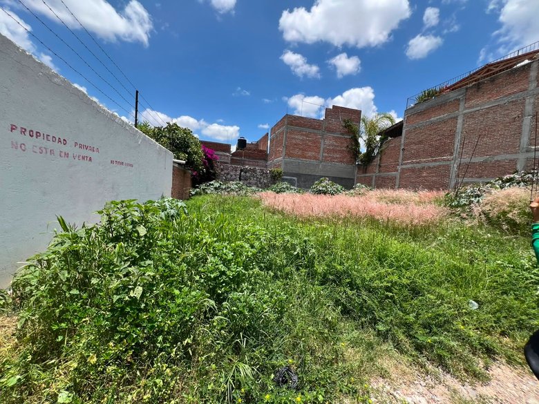 Terreno en "Ignacio Cruces" — 3 photos
