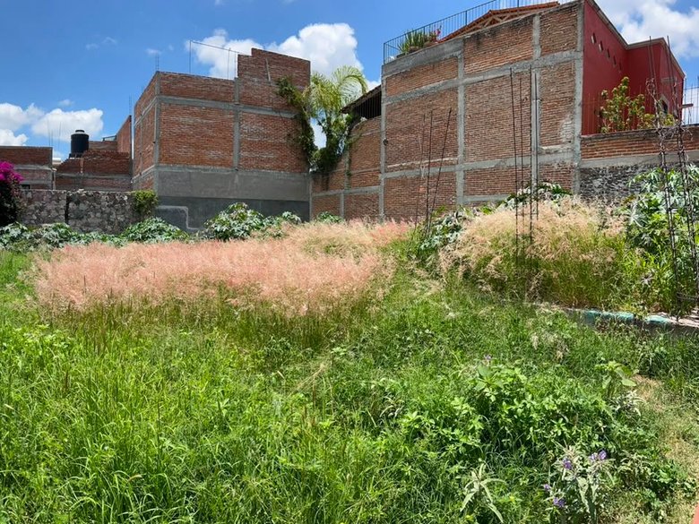Terreno en "Ignacio Cruces" — 4 photos