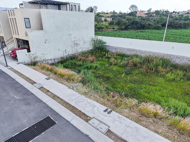 Zirándaro Lavanda Lot 7 — 12 photos