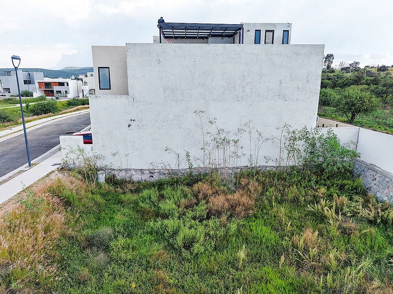 Zirándaro Lavanda Lot 7 — 5 photos