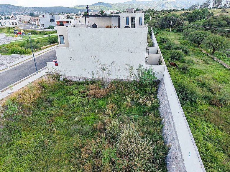 Zirándaro Lavanda Lot 7 — 11 photos