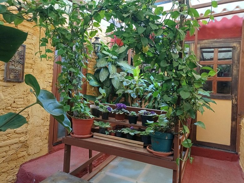 Casa y Casita en el Centro de San Miguel — 7 photos