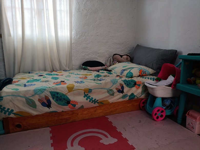 Casa y Casita en el Centro de San Miguel — 18 photos