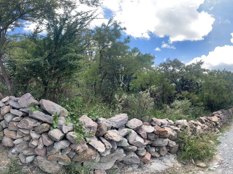 Terreno en Puerto de Sosa — 4 photos