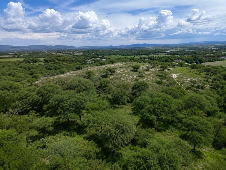 Lote La Giraldilla — 6 photos