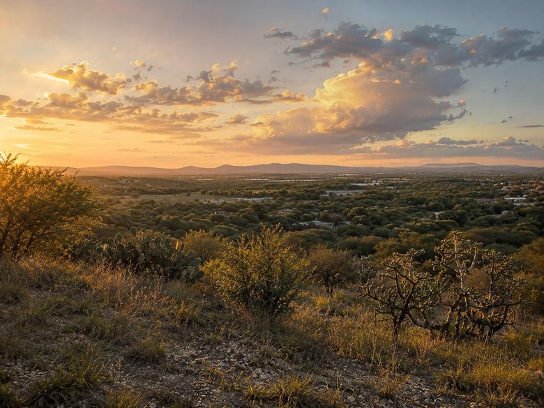 Lote La Giraldilla — 5 photos