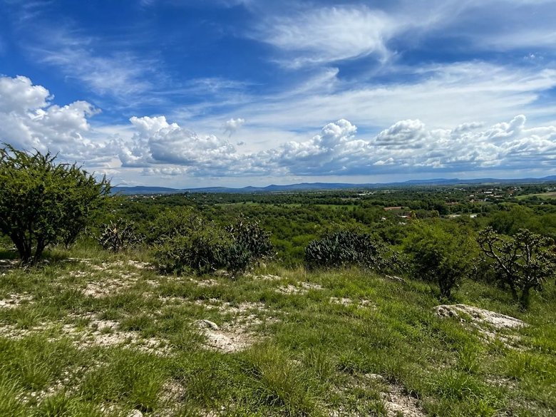 Lote La Giraldilla — 3 photos