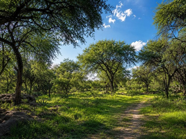 Lote La Giraldilla — 4 photos