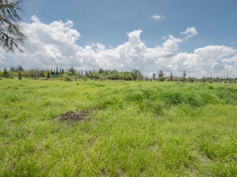 Country Living Near SMA — 5 photos