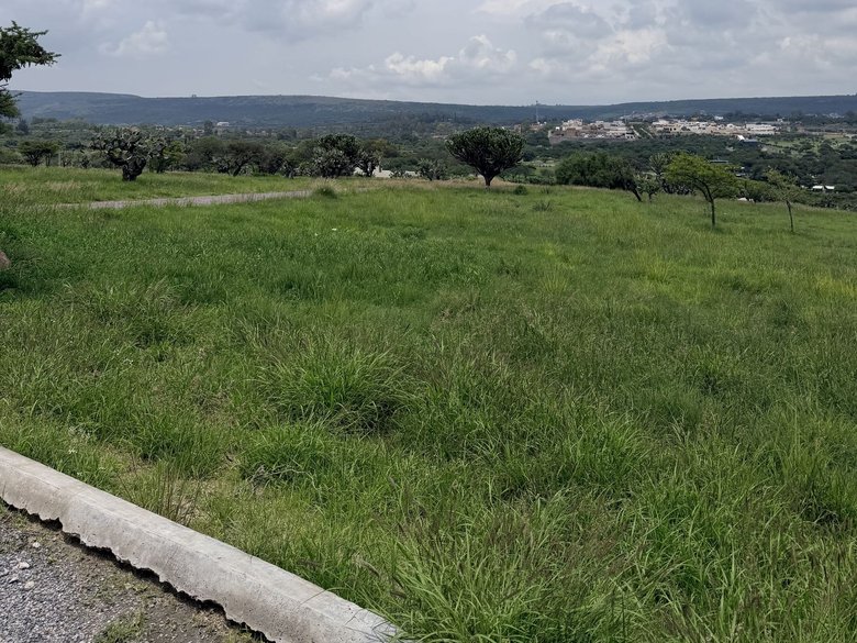 Palcos de Piamonte — 3 fotos