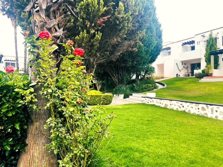 Casa Vero NOT Available  — 16 photos