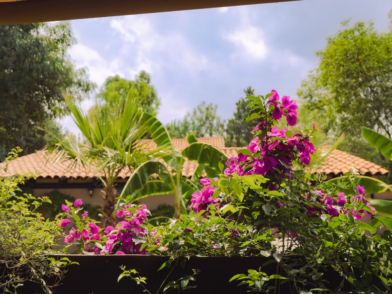 CASA ARBOLEDAS — 39 fotos