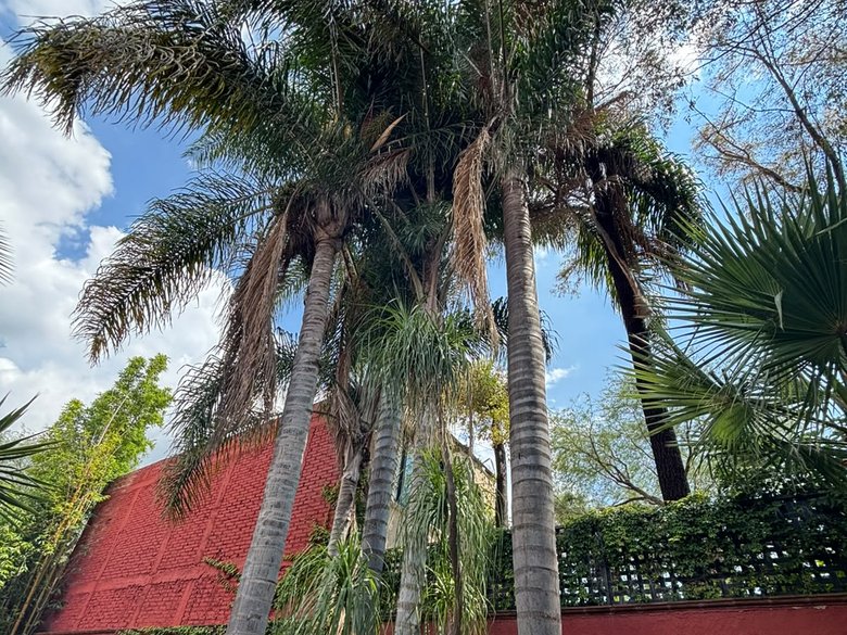 Casa Pájaros del Viento — 32 photos