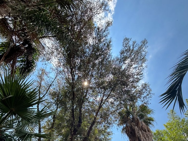 Casa Pájaros del Viento — 25 photos