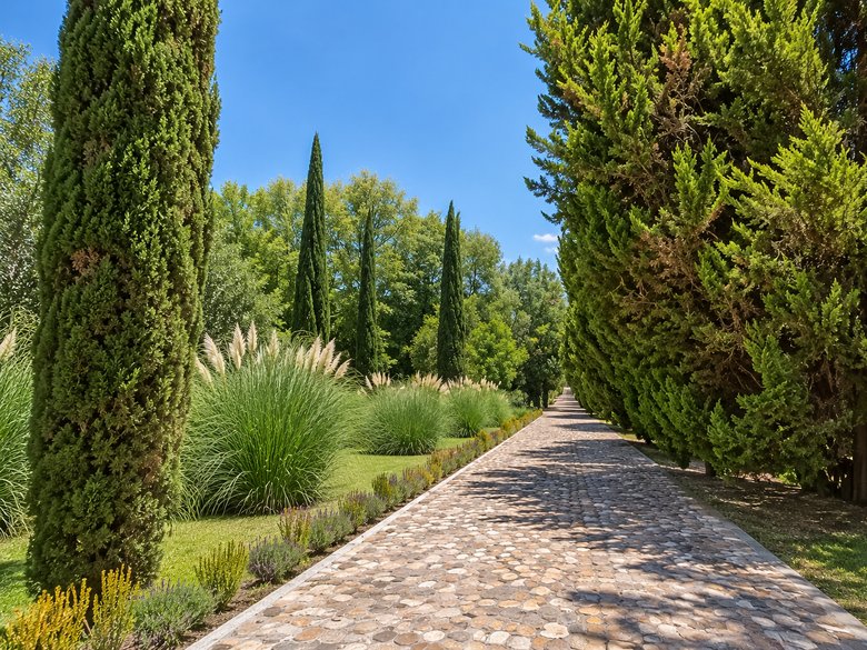 Terreno Ideal en La Santísima — 2 photos