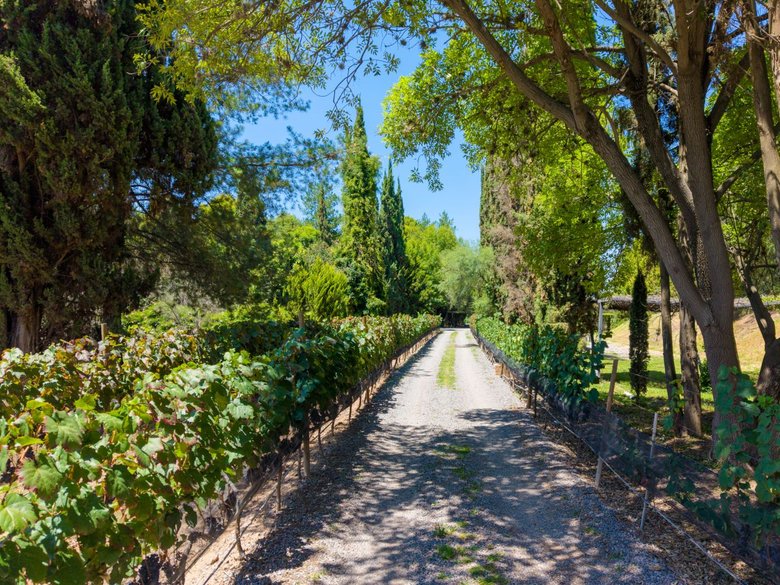 Terreno Ideal en La Santísima — 14 photos