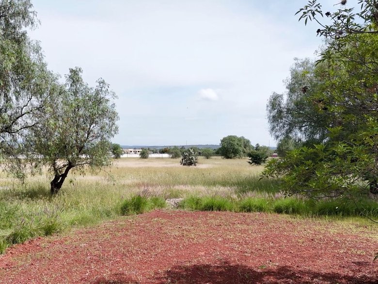 Lote La Finca — 13 photos