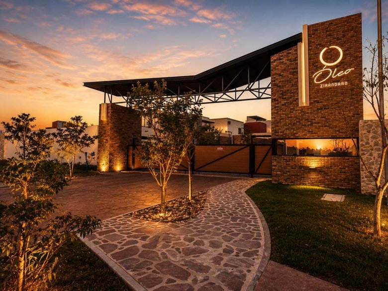 Oleo Picasso 8 — 17 photos