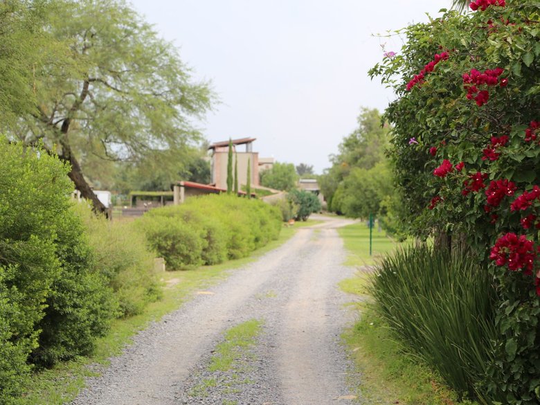Lote Granja Las Ánimas — 8 fotos
