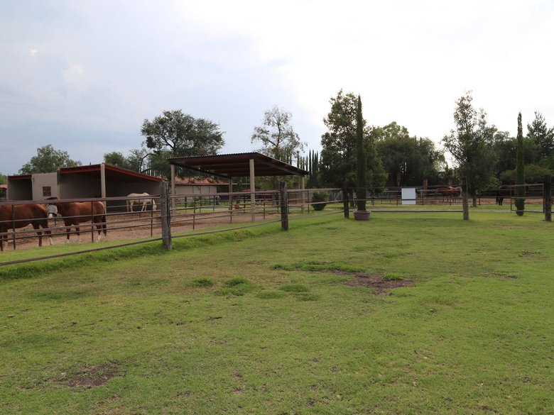 Lote Granja Las Ánimas — 6 fotos