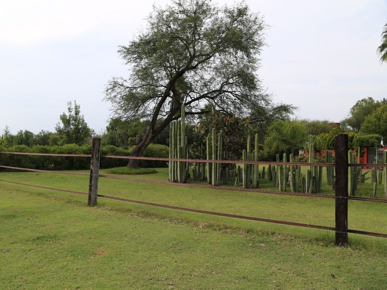 Lote Granja Las Ánimas — 7 fotos